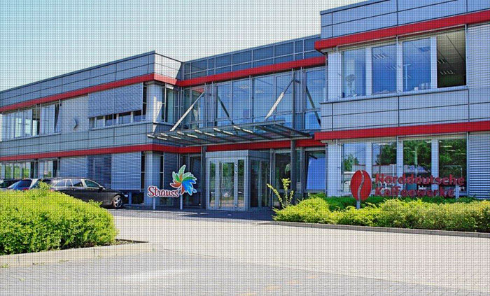 Strauss Group office